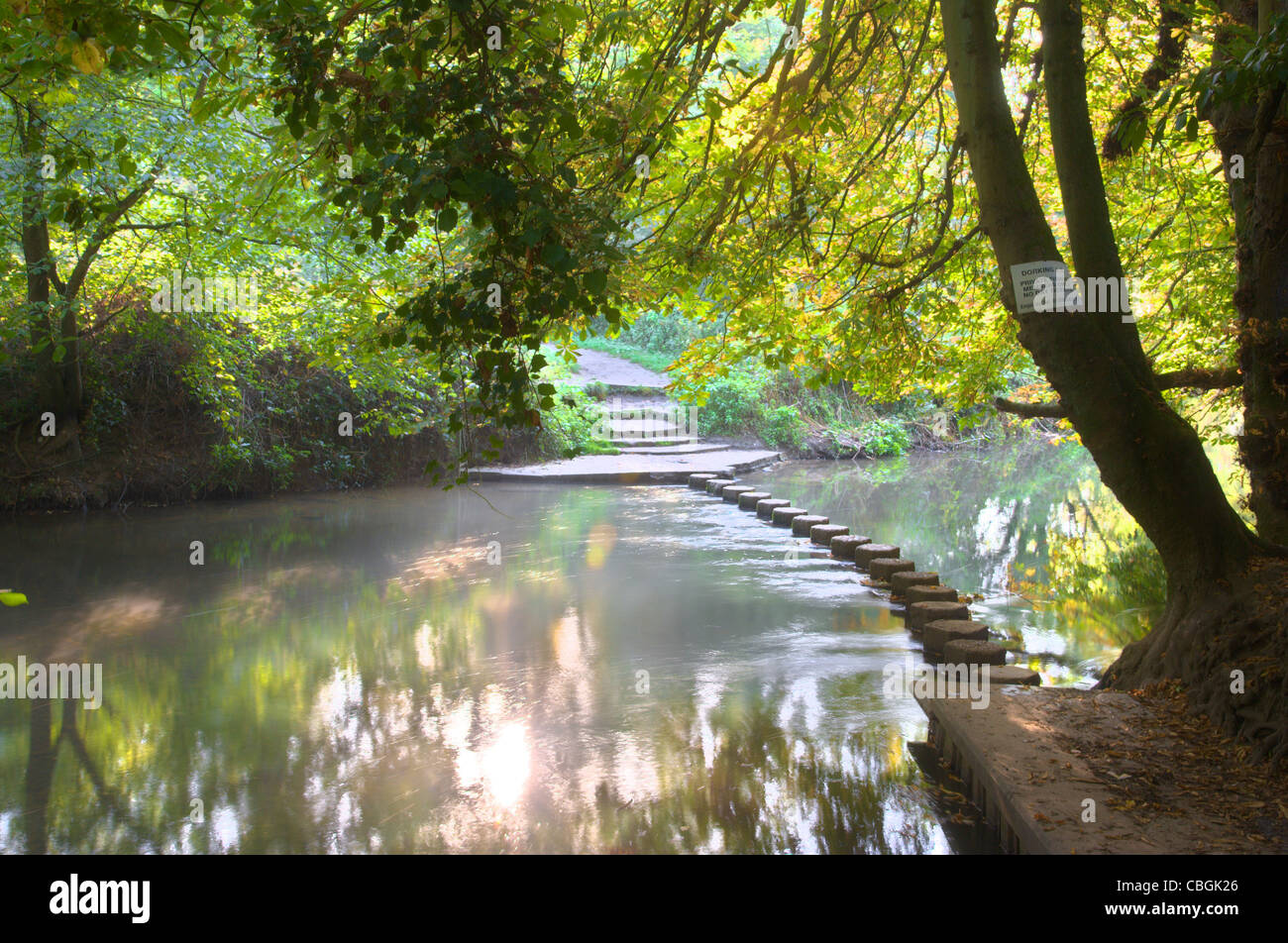 The Stepping Stones crossing the River Mole underneath Box Hill in between Dorking and Leatherhead in Surrey. Stock Photo