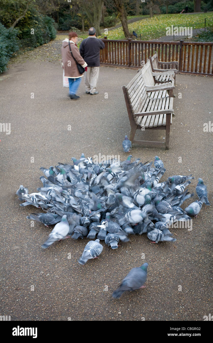 Frenzy hi-res stock photography and images - Alamy