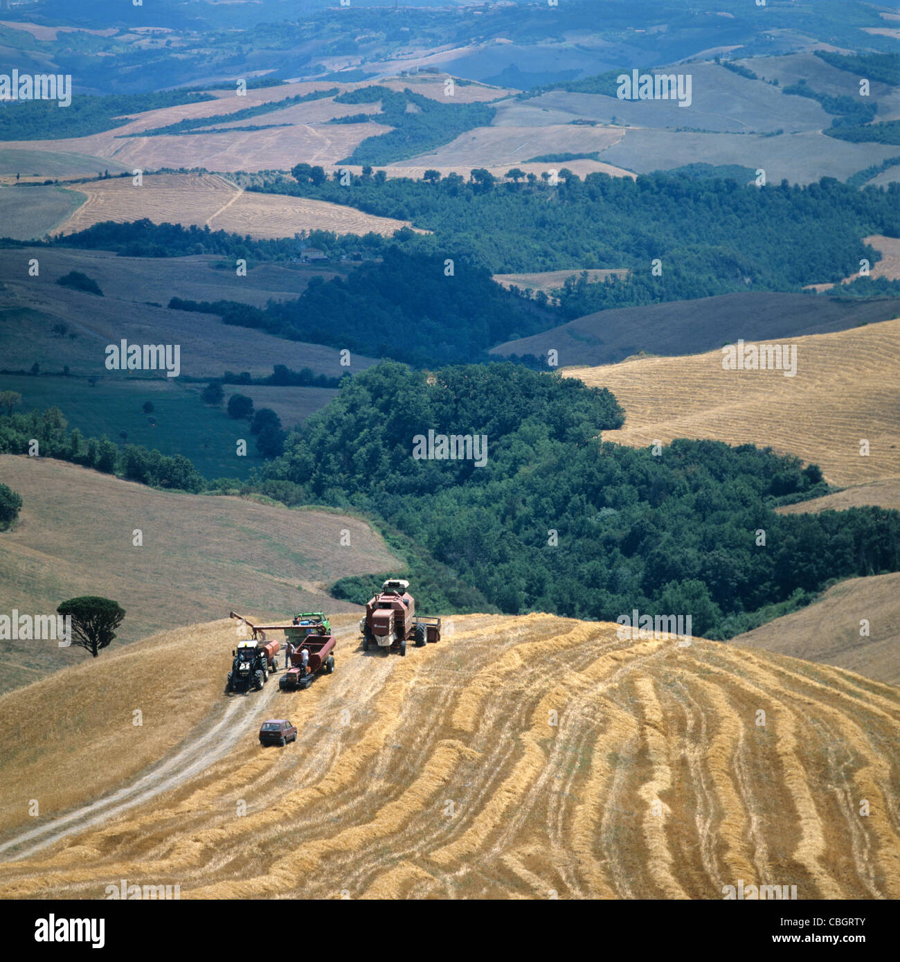 Rolling cereal farmland in the Volterra, Italy, with combine harvesters Stock Photo