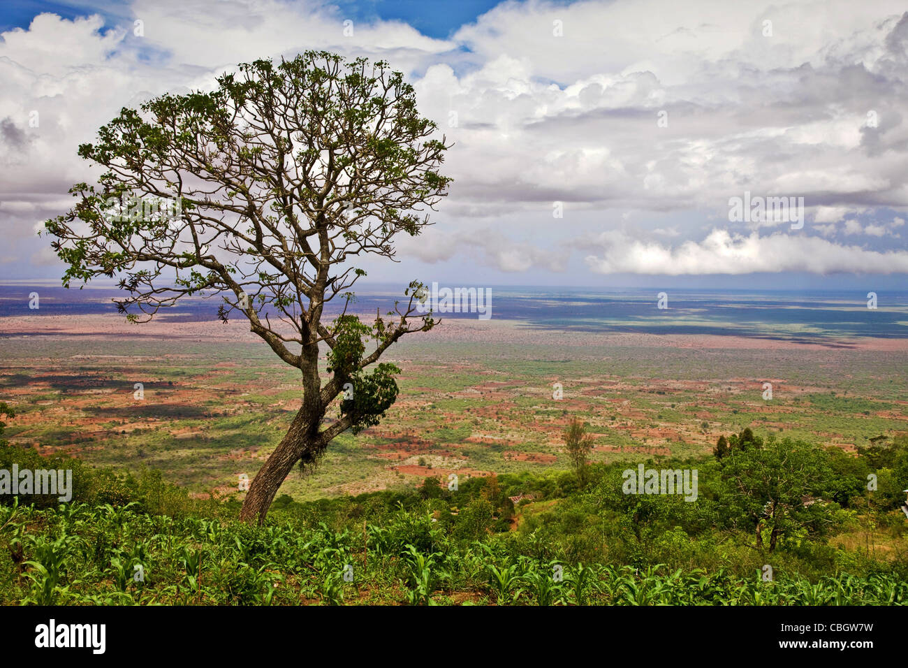 View from the Sagalla Hills in Southern Kenya over the Ndara Plain and Tsavo National Park Stock Photo