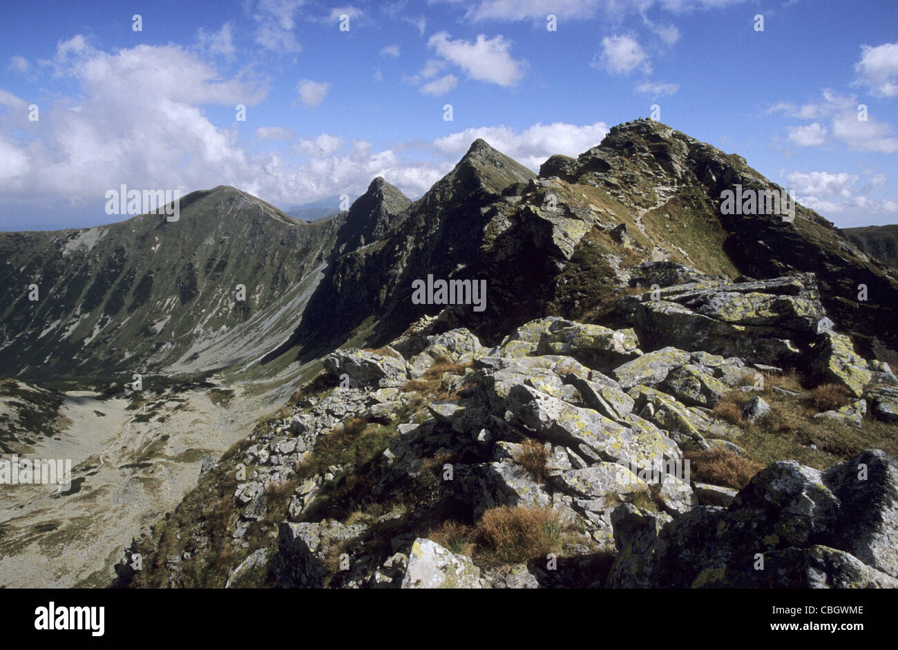 Osty Rohac Orava Valley High Resolution Stock Photography and Images - Alamy