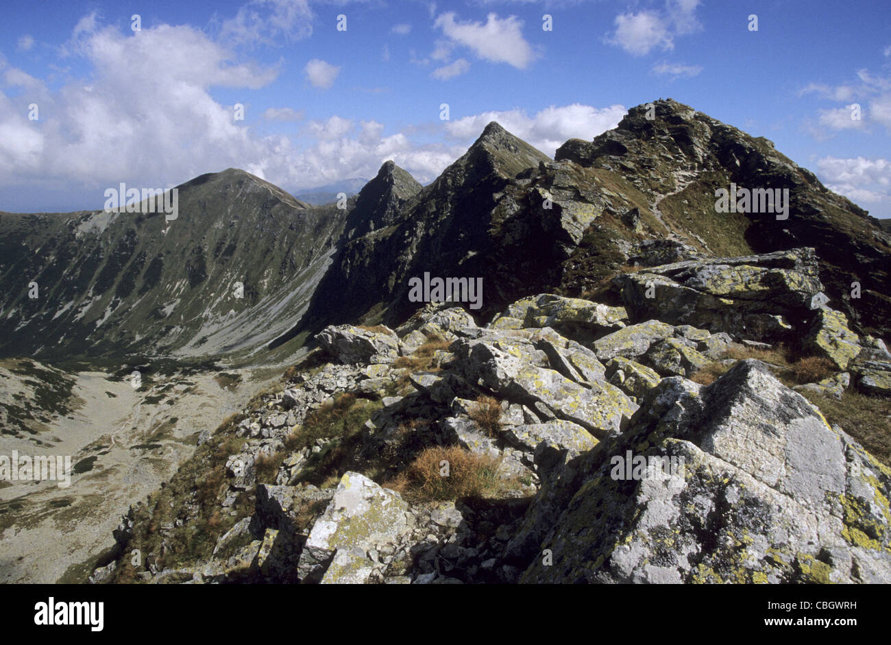 Rohacska dolina hi-res stock photography and images - Alamy