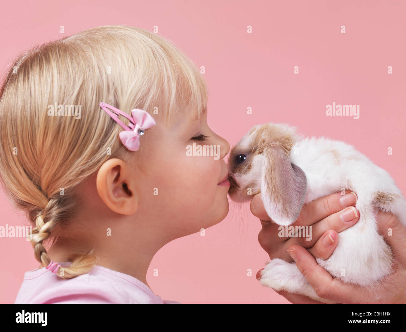 Cute three year old girl kissing a pet rabbit isolated on pink background Stock Photo