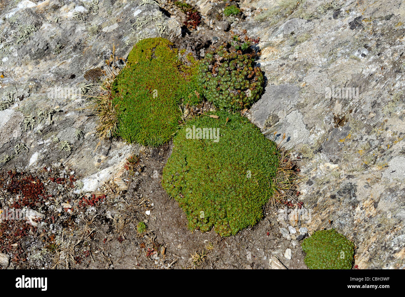 Trou de l'Enfer,Ile de Groix,Island,Morbihan,Bretagne,Brittany,France Stock Photo