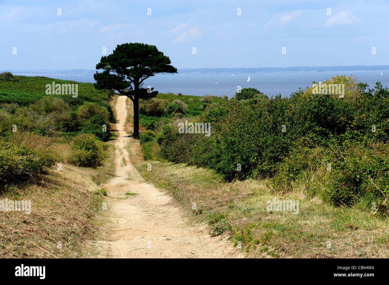 Ile de Groix,Island,Morbihan,Bretagne,Brittany,France Stock Photo