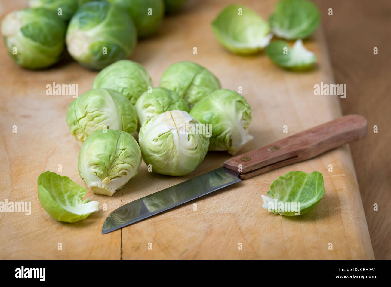 preparing brussel sprouts for cooking Stock Photo