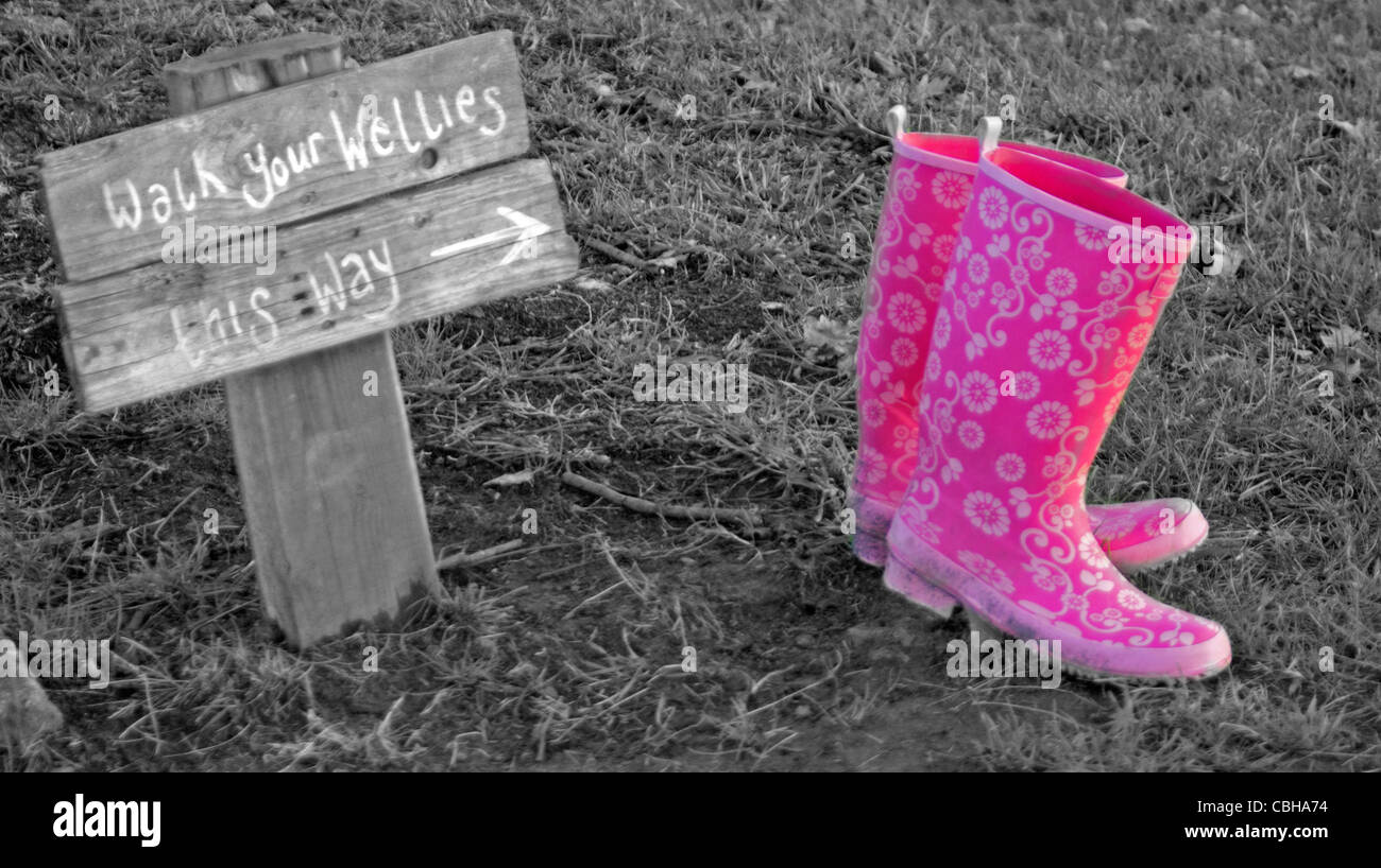 Next shop pink wellies
