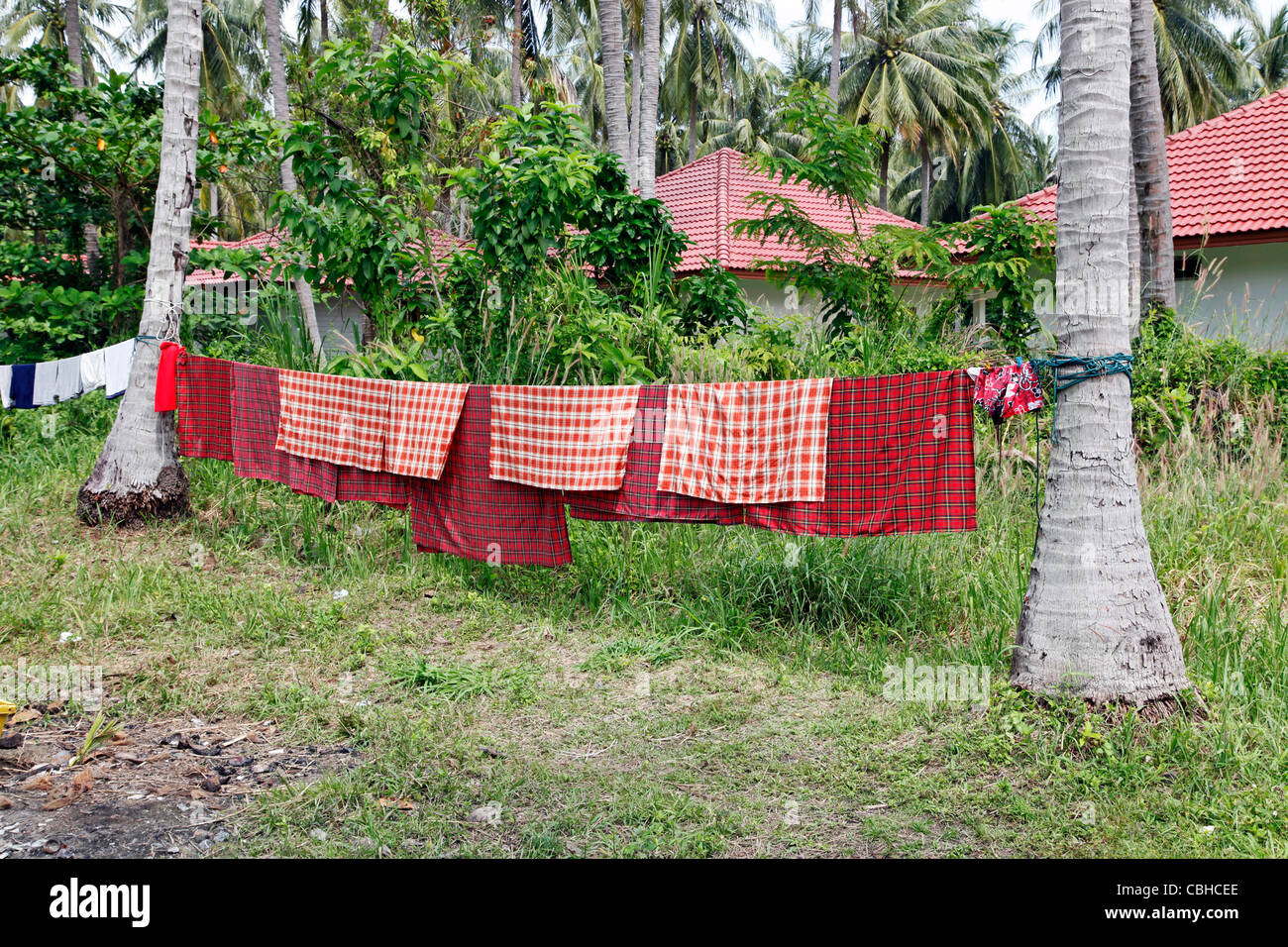 Washing line hanging out to dry between two palm trees on Raya Island, Phuket, Thailand Stock Photo
