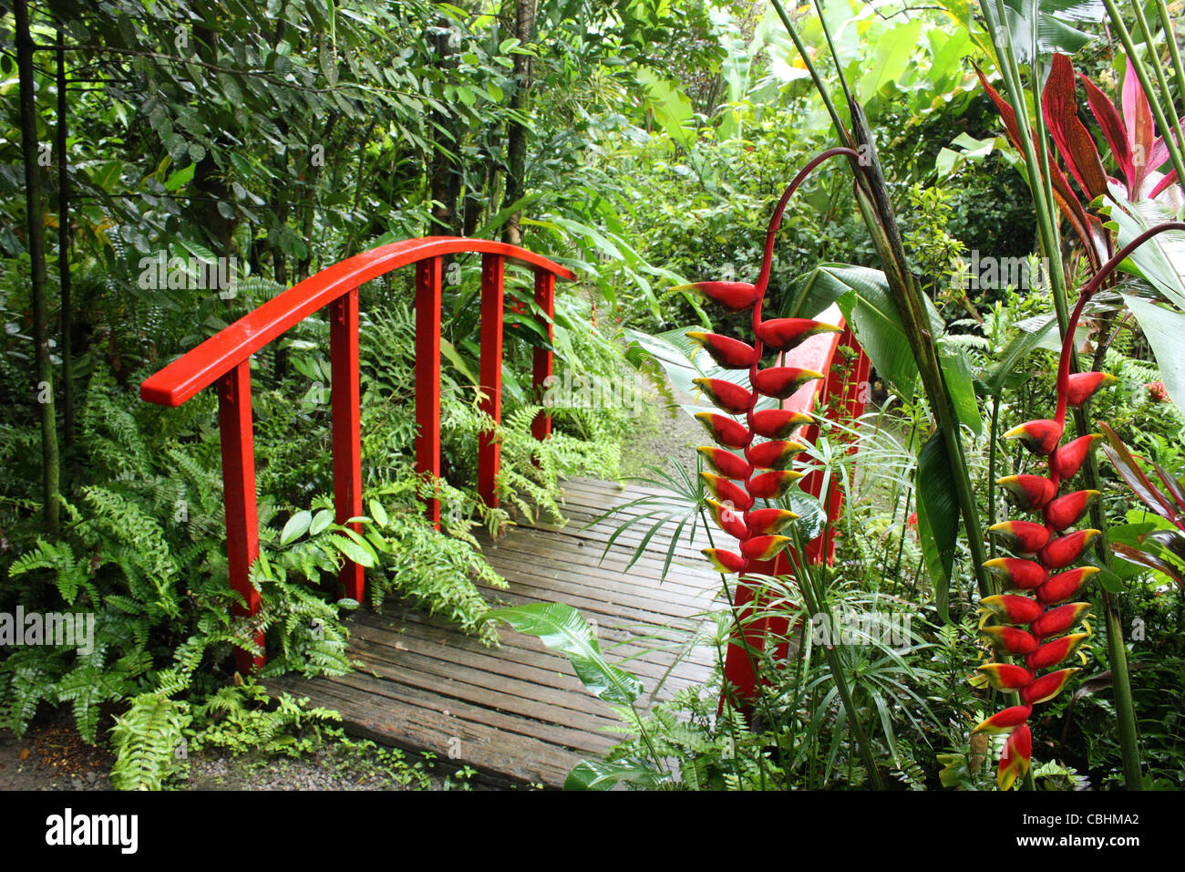 Diamond Botanical Gardens St Lucia Stock Photo 41571098 Alamy