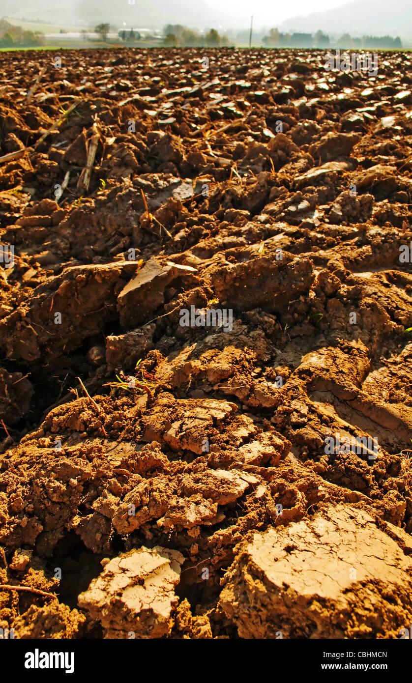Clods Of Land High Resolution Stock Photography and Images - Alamy