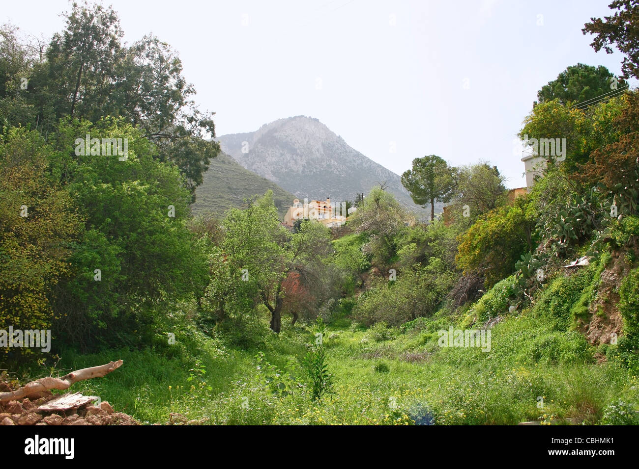 Cyprus landscape with gardens,mountain village, trees. Stock Photo
