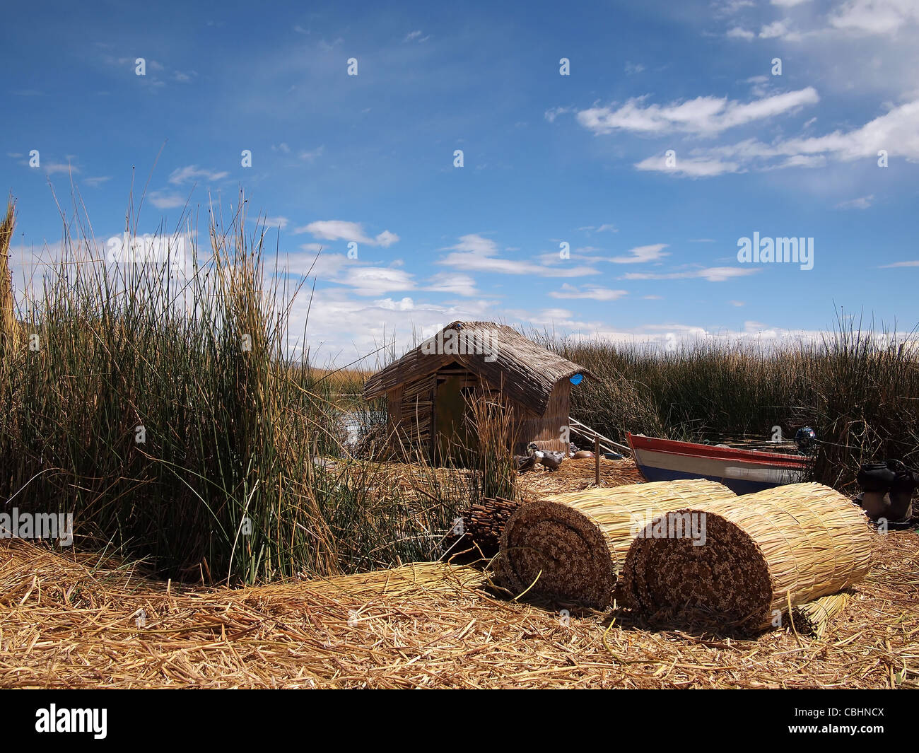 Hut made of reed and lots of drying reed on one of the floating Uros islands inside Lake Titicaca, Peru. Stock Photo