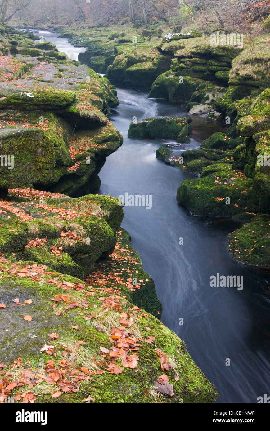 The Strid in autumn, Yorkshire Dales. Stock Photo