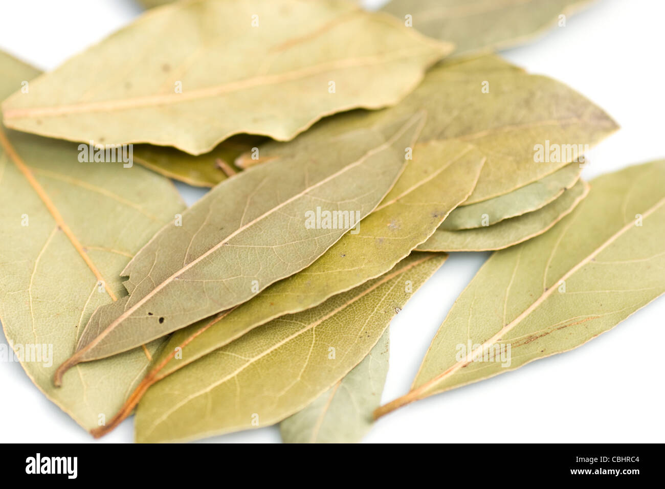 Bay leaves bunch hires stock photography and images Alamy