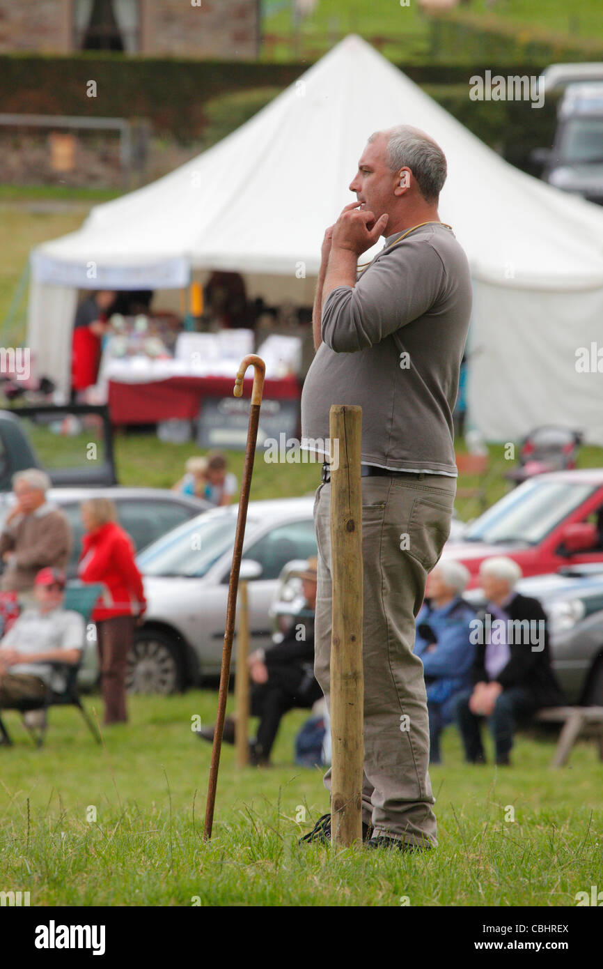 Man whistling to sheep dog at Calbeck Sheep Dog Trail near Calbeck, Cumbria, UK Stock Photo Alamy