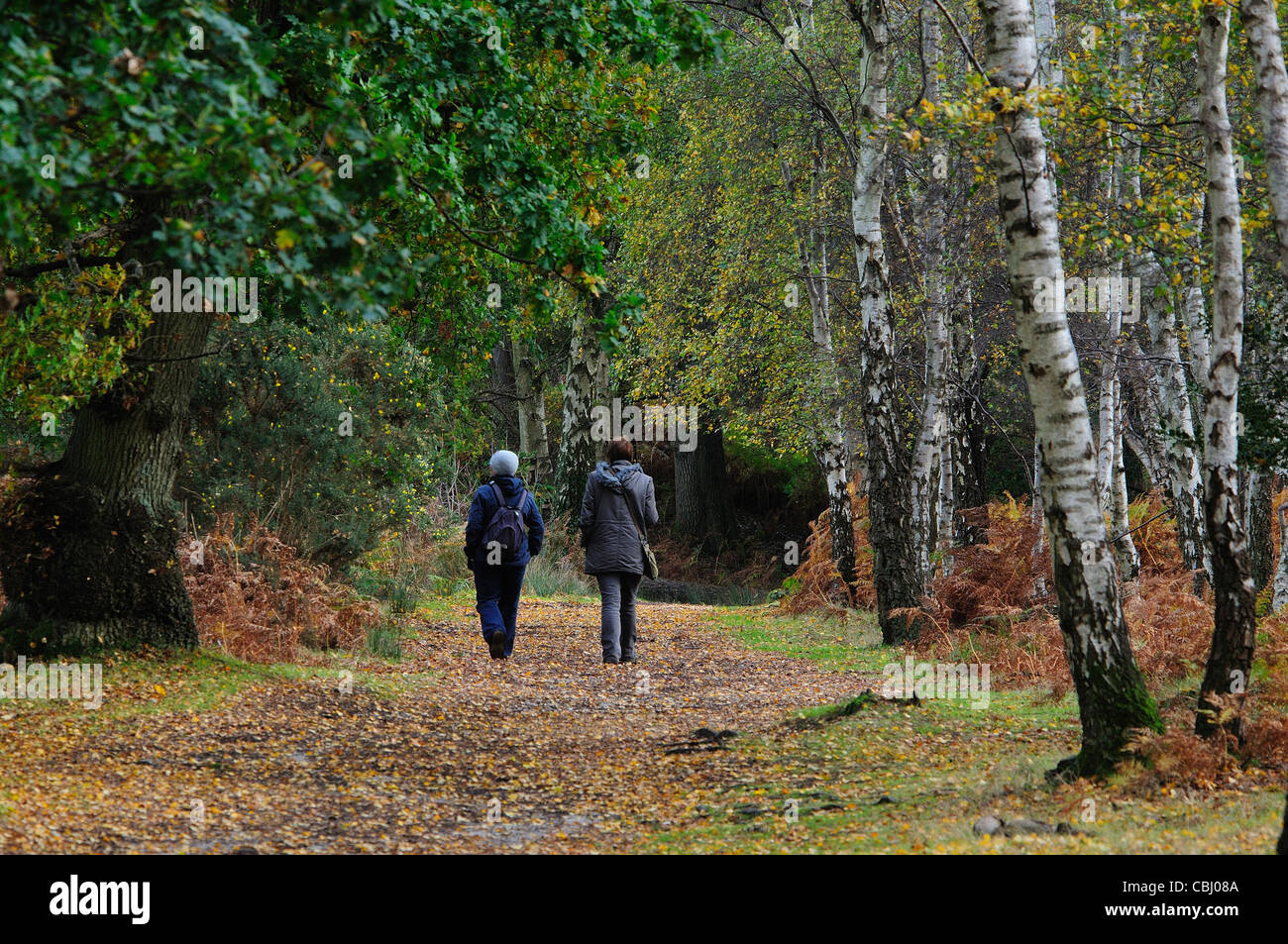Rspb arne people hi-res stock photography and images - Alamy