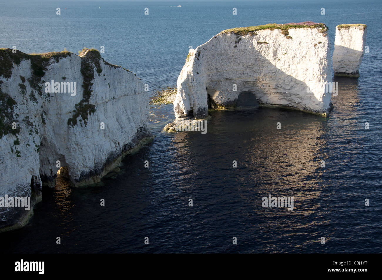 Old Harry Rocks. Massive chalk stacks standing just off the vertiginous ...