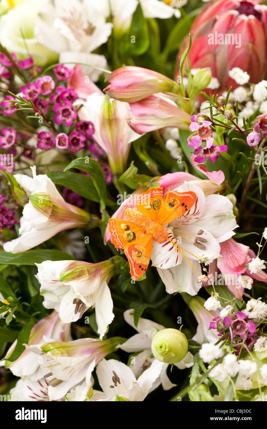 Daisy poppy flowers bouquet hi-res stock photography and images - Alamy