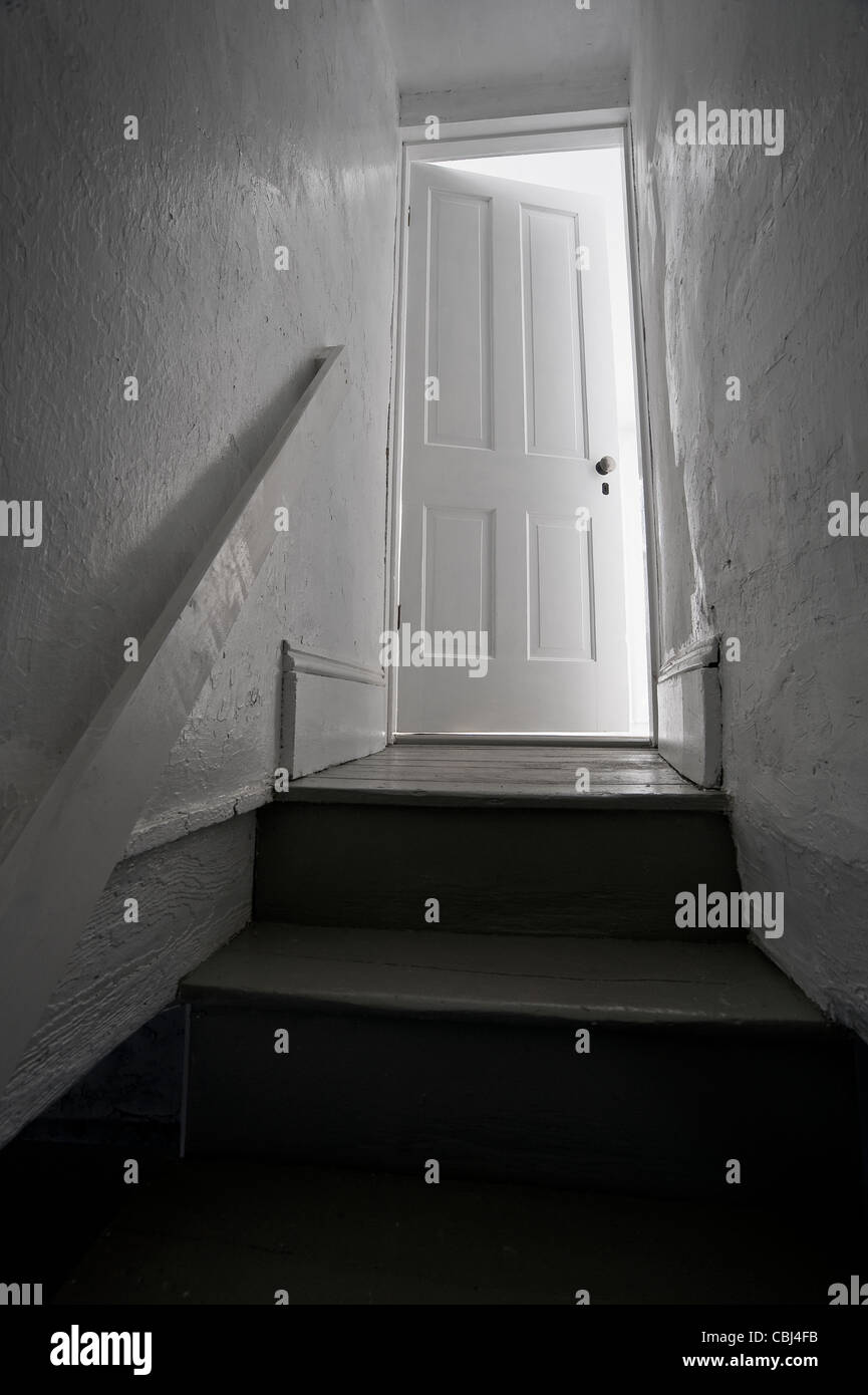Basement  Door With Cellar Stairs Stock Photo