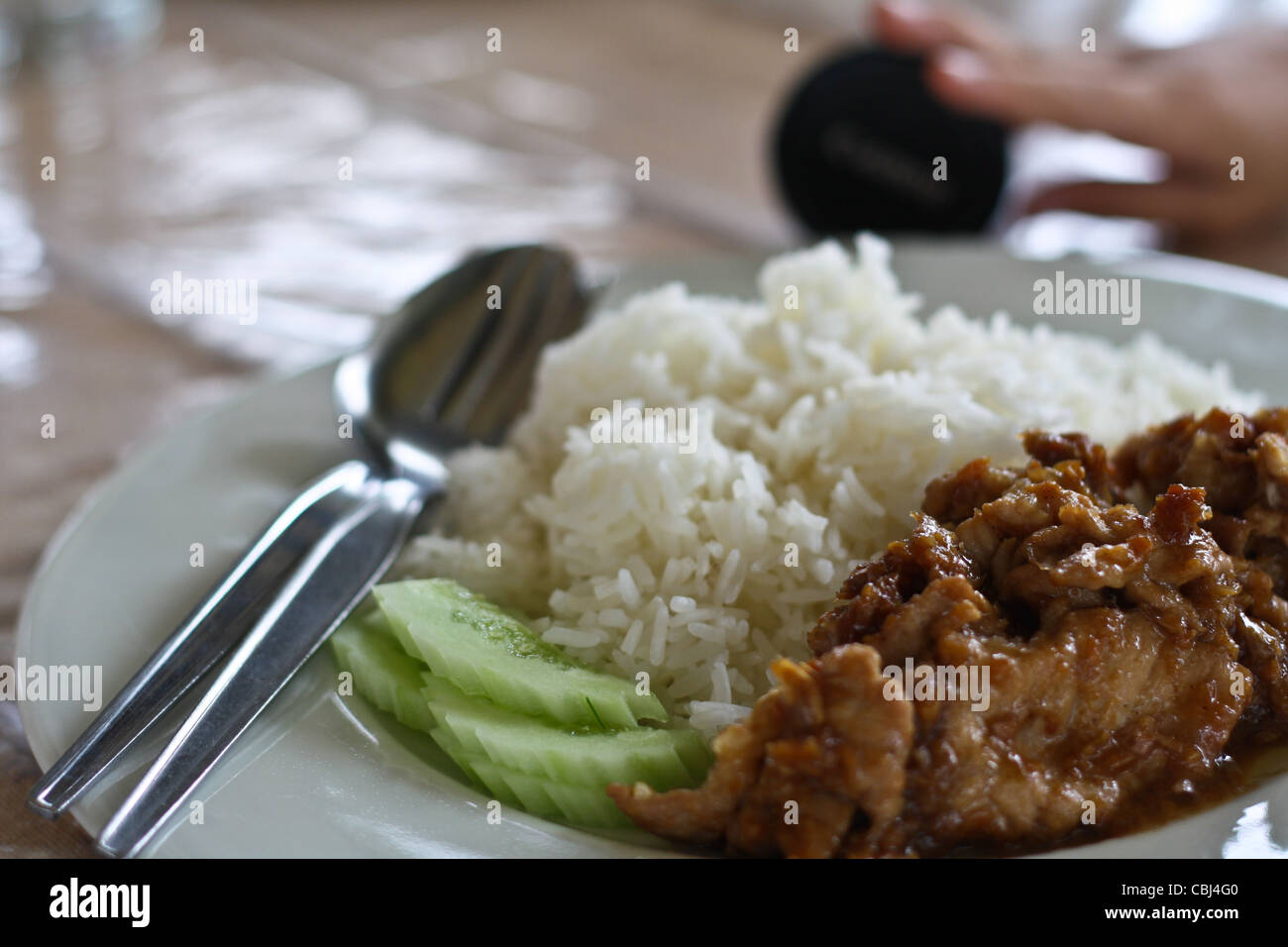 Pork fried rice, garlic, white pepper on a dish. Stock Photo