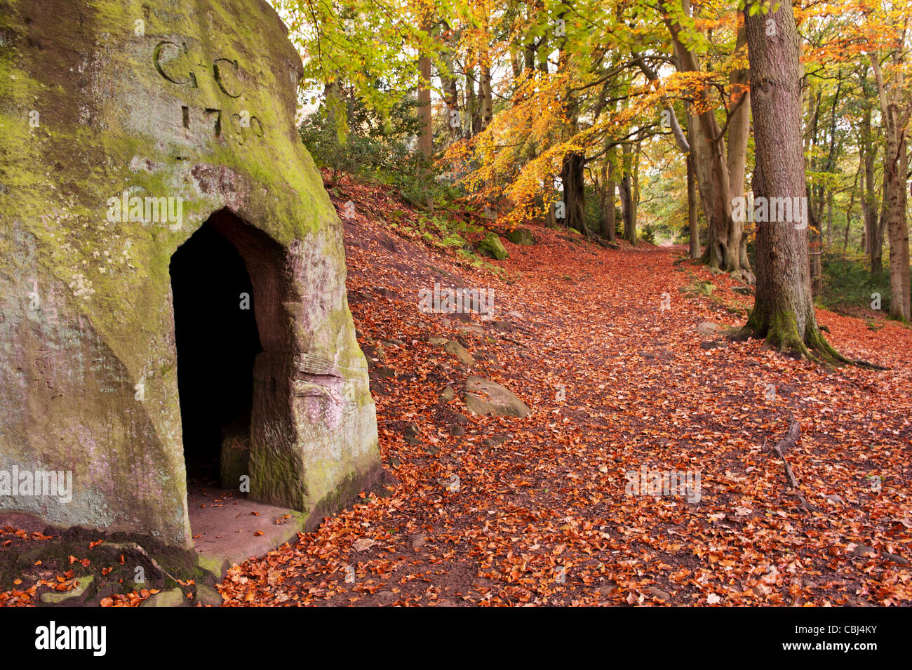 Autumn in Great woods Sneaton forest North Yorkshire. Stock Photo