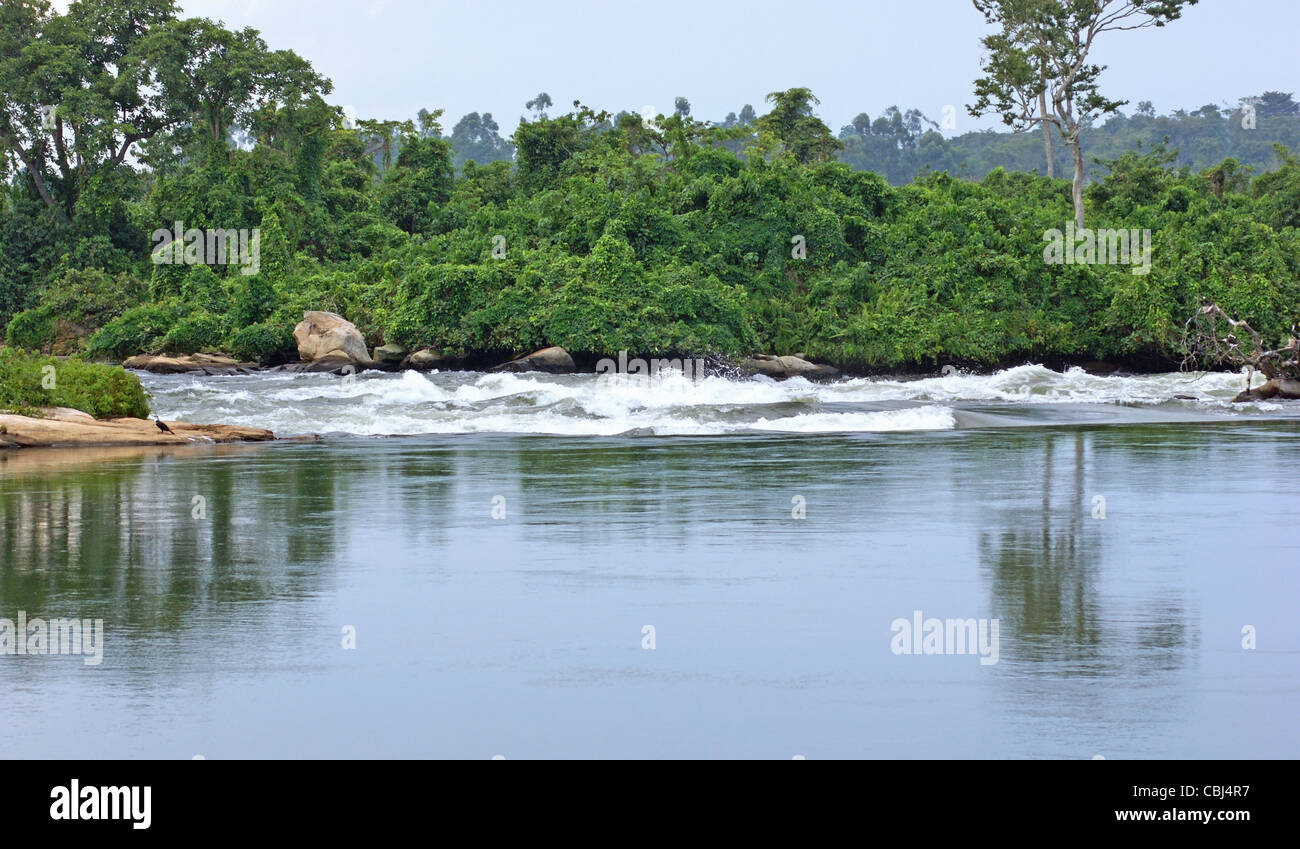 waterside scenery showing the River Nile near Jinja in Uganda (Africa) Stock Photo