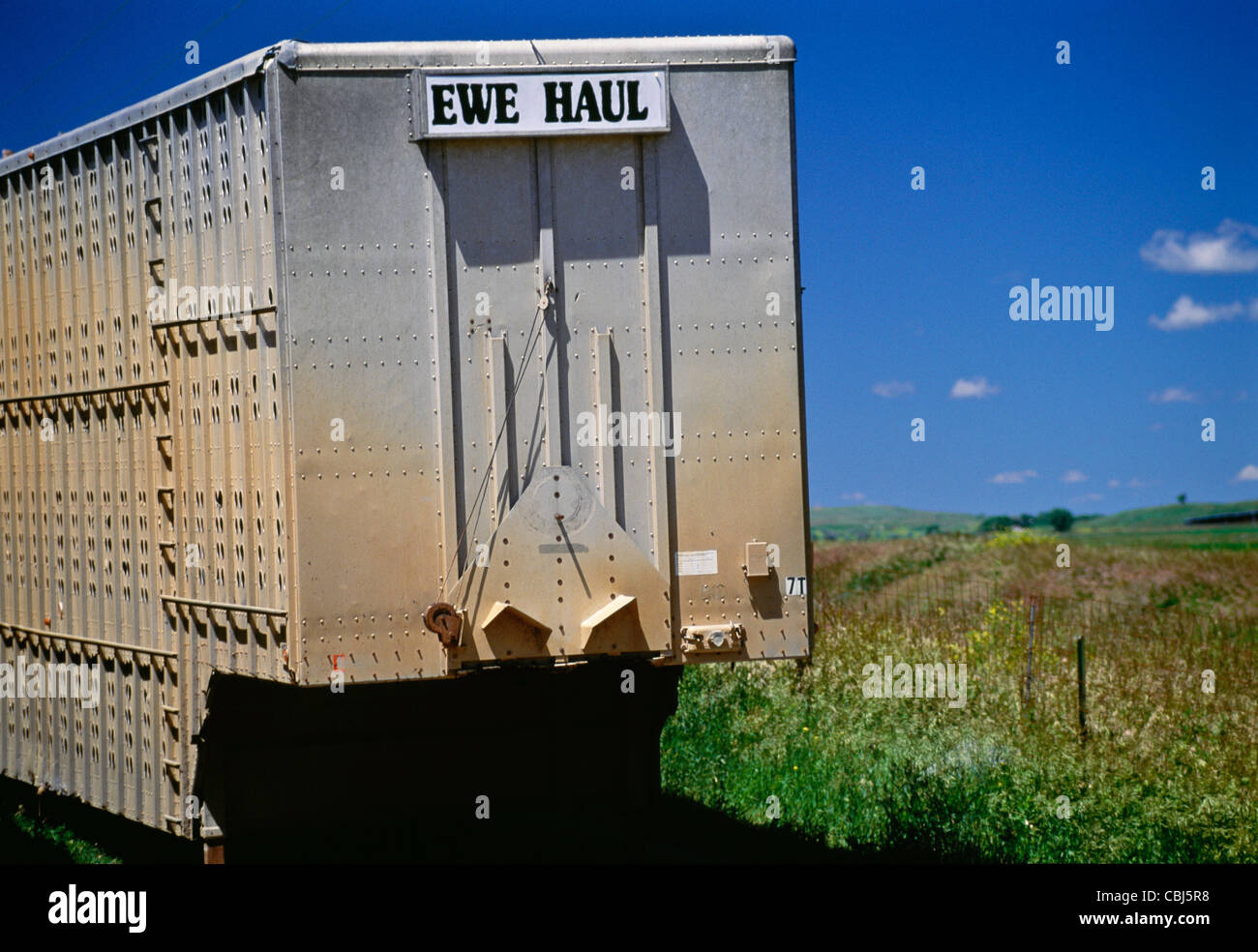 'Ewe Haul', Sheep Trailer, SD Stock Photo