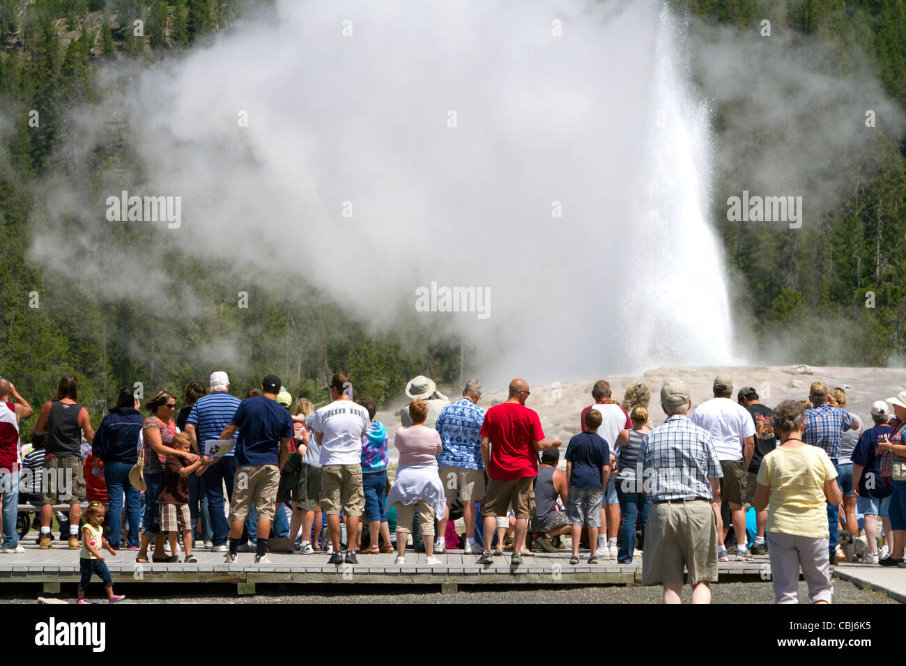Tourists gather to watch the Old Faithful geyser eruption in Yellowstone National Park, USA. Stock Photo