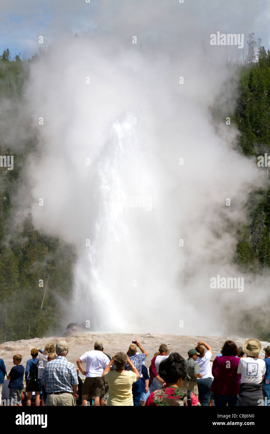 Tourists gather to watch the Old Faithful geyser eruption in Yellowstone National Park, USA. Stock Photo