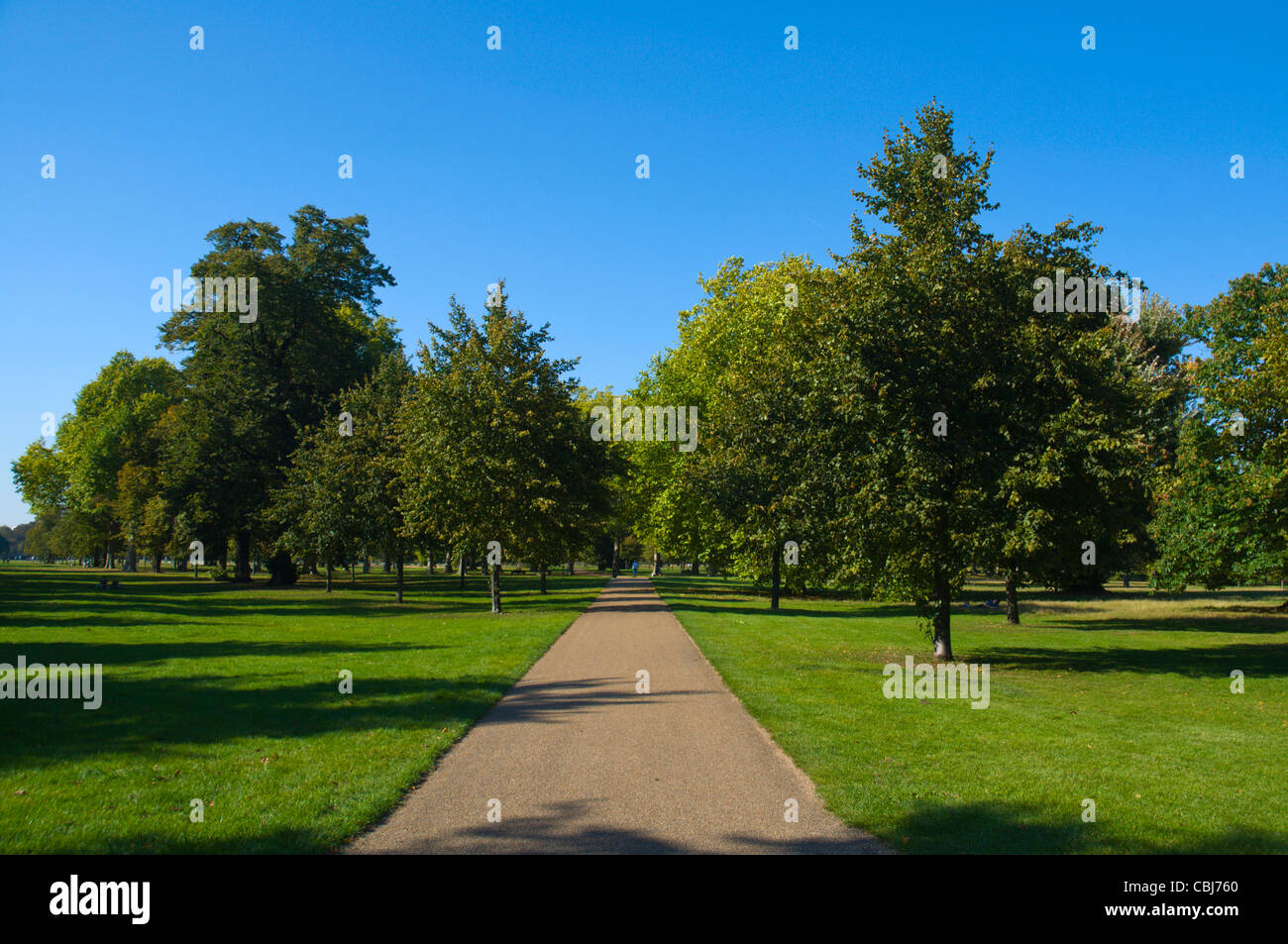Kensington Gardens park west London England UK Europe Stock Photo - Alamy