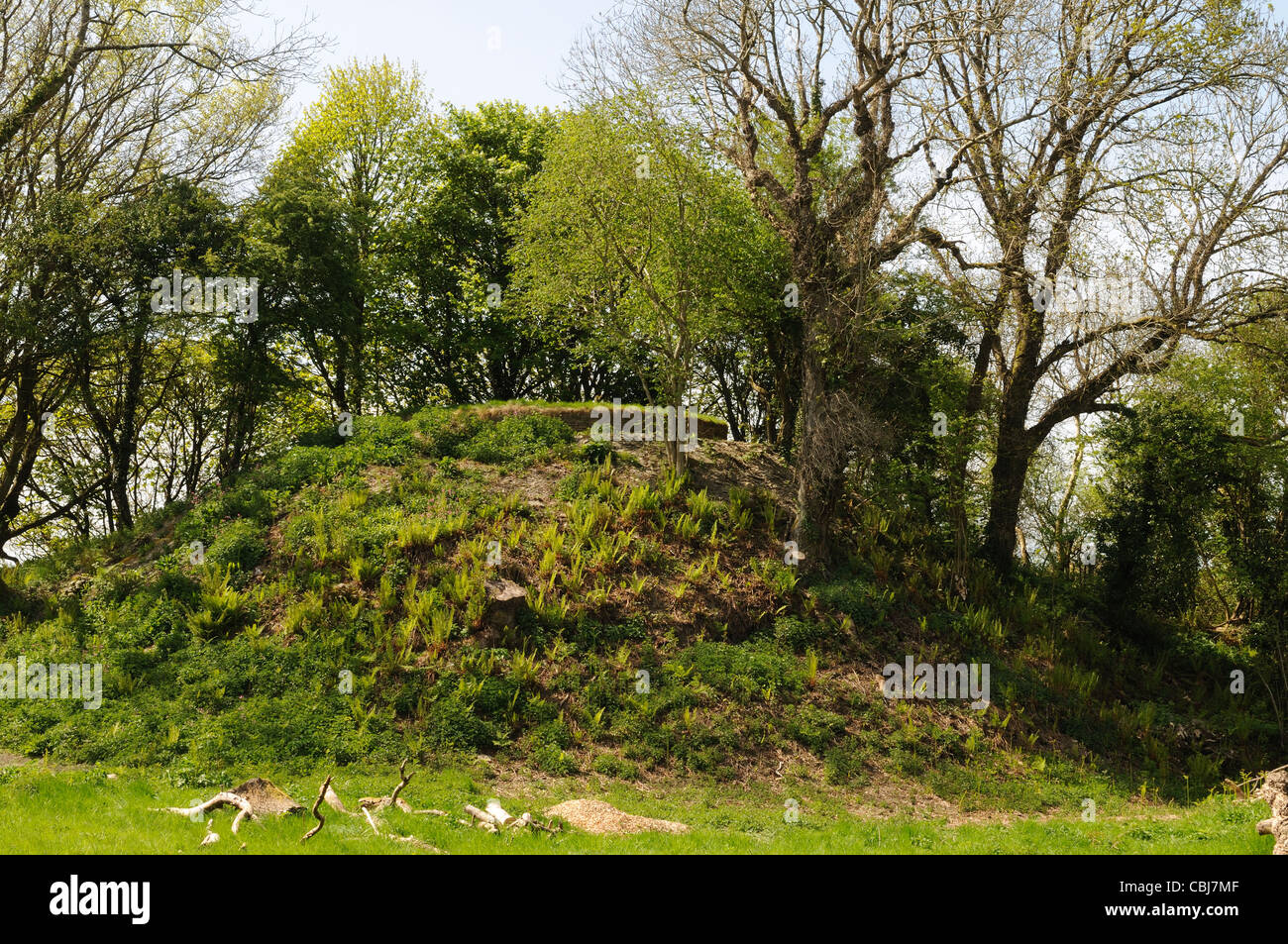 The ruins of Nevern Motte and Bailey Castle Castell Nanhyfer Pembrokeshire Wales Cymru uK GB Stock Photo