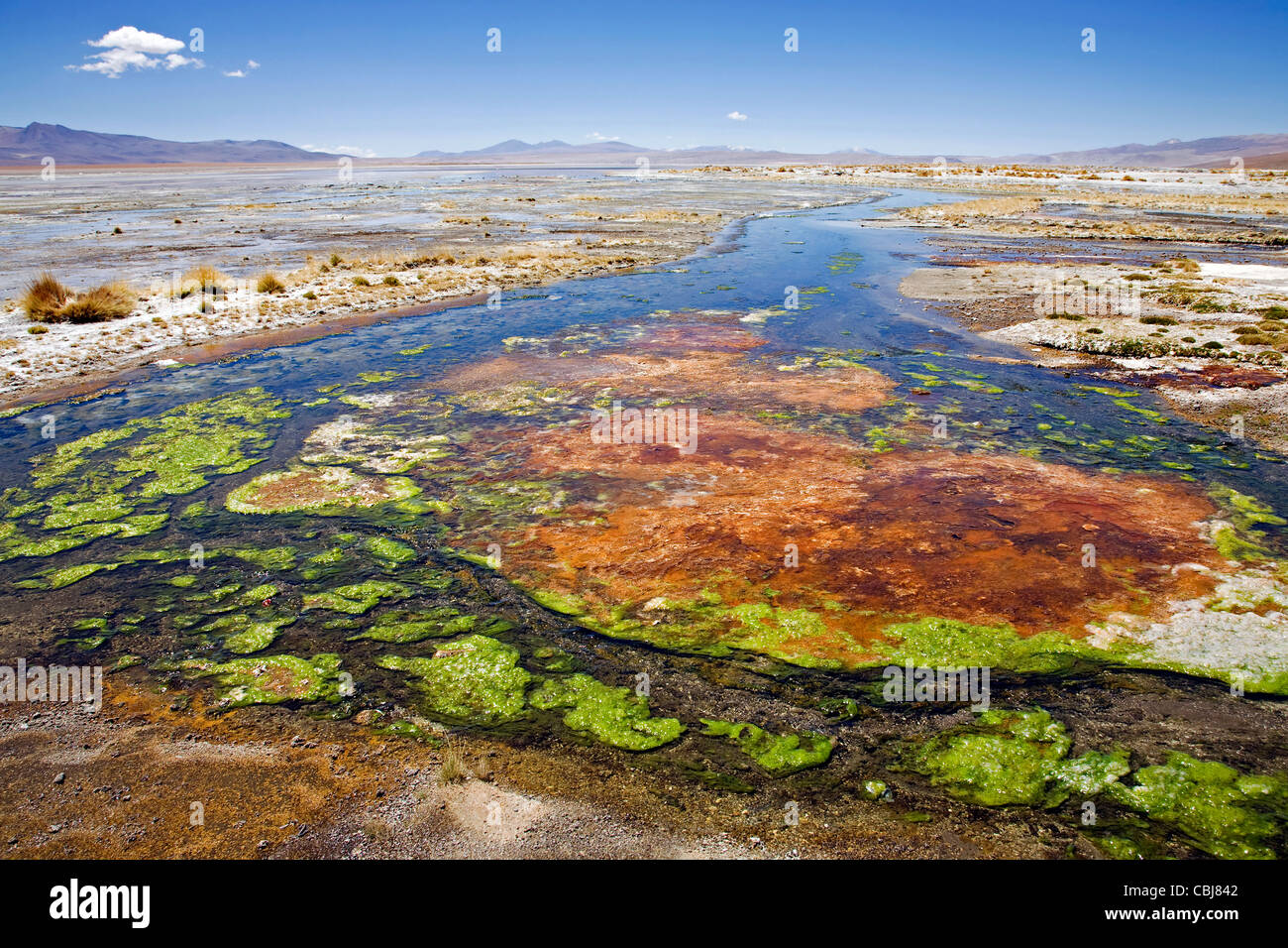 Algae rich hot springs run off at the altiplano of Bolivia Stock Photo