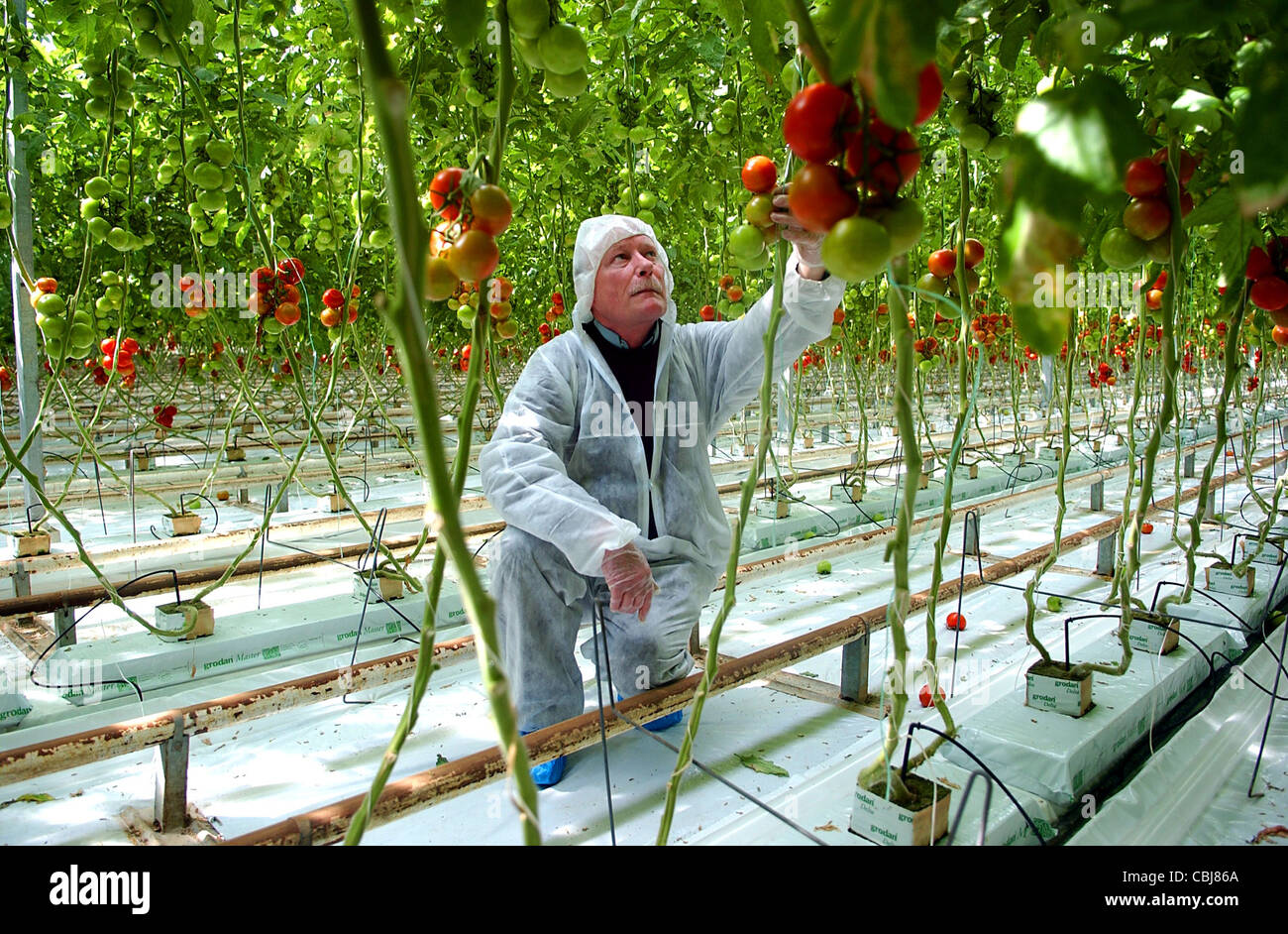 Runcton nursery hires stock photography and images Alamy