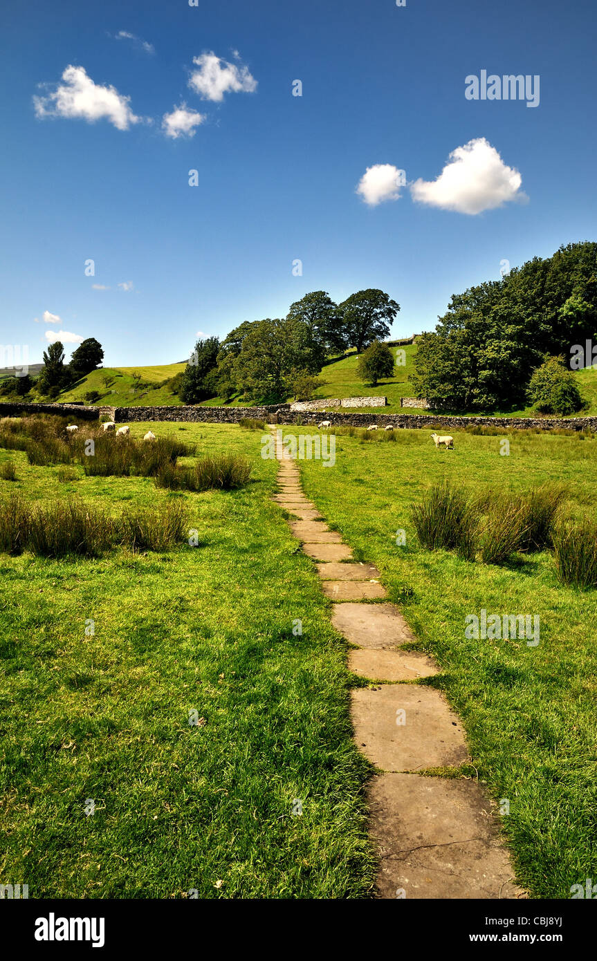 Footpath in field near Askrigg,Wensleydale Yorkshire Stock Photo
