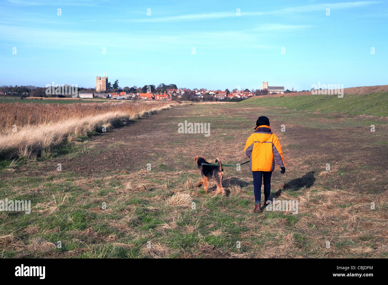 A woman walking the dog, Orford village, Suffolk countryside UK Stock Photo