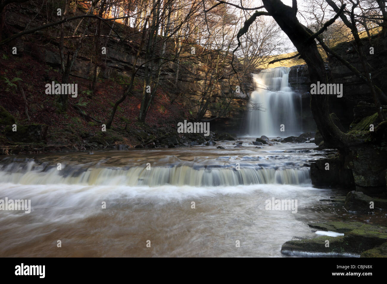 Summerhill Force and Gibsons Cave Bowlees Teesdale County Durham UK Stock Photo