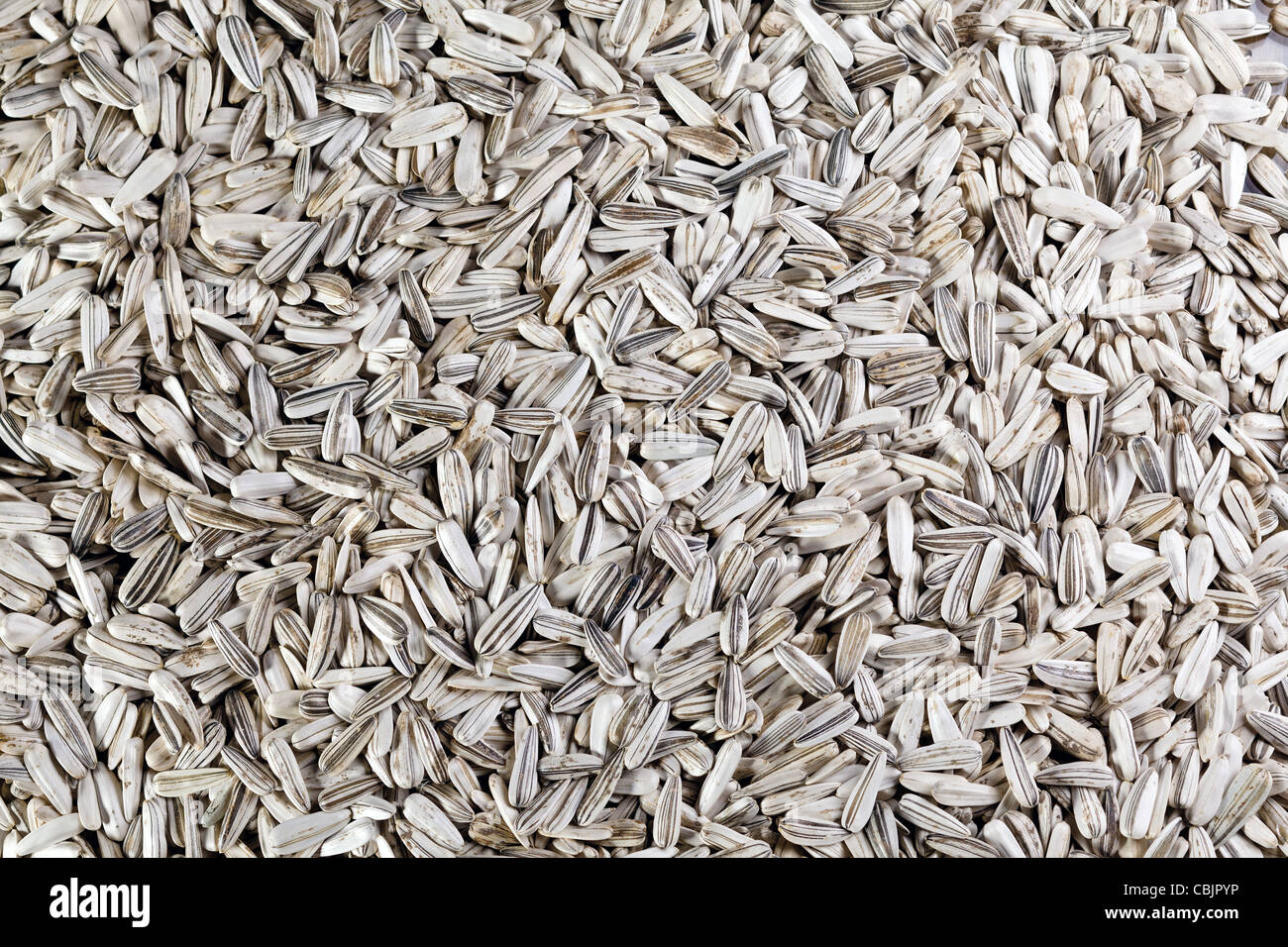 Sunflower seeds background Stock Photo Alamy