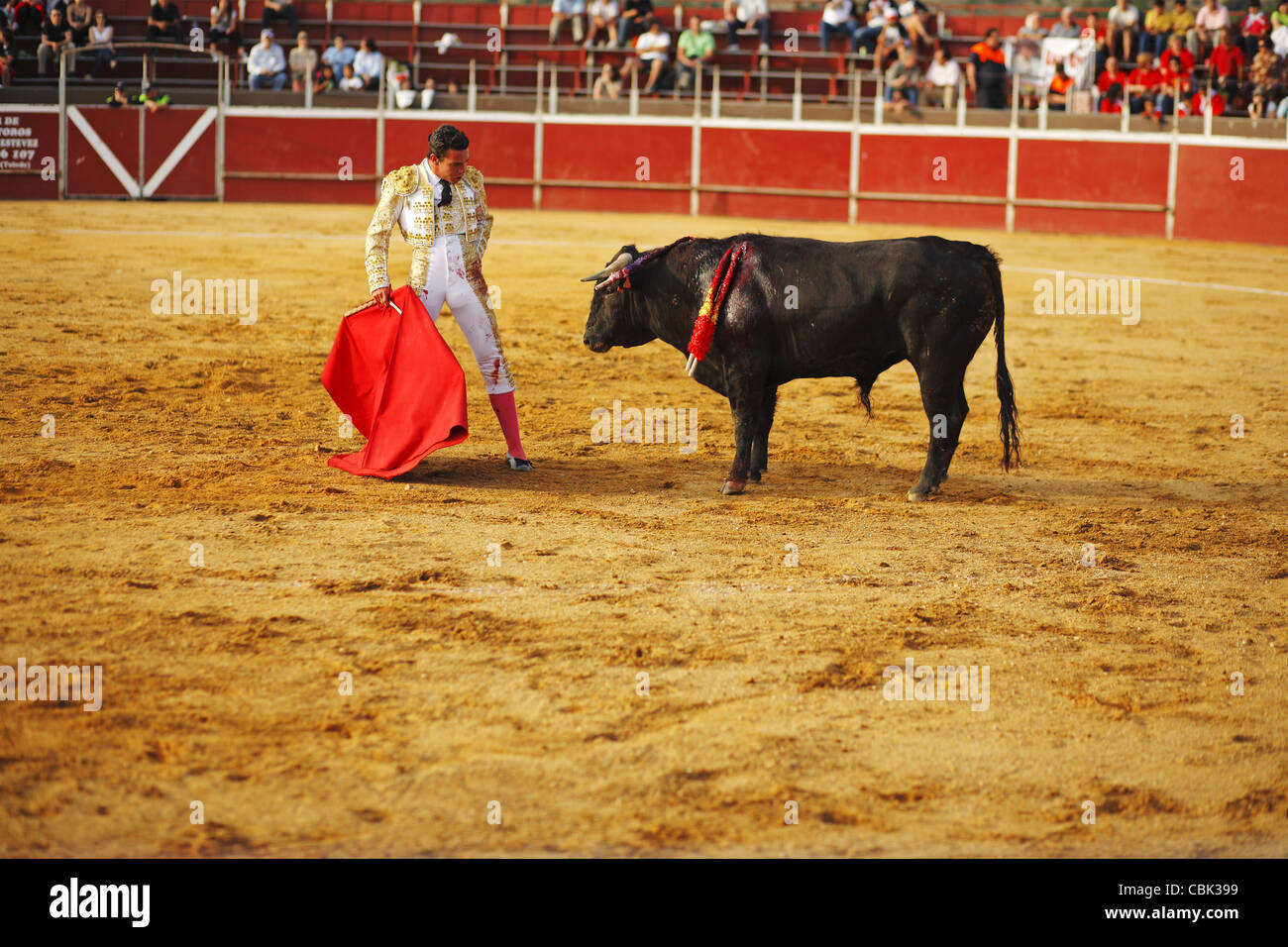 Corrida in Alpedrete, Community of Madrid, Spain Stock Photo