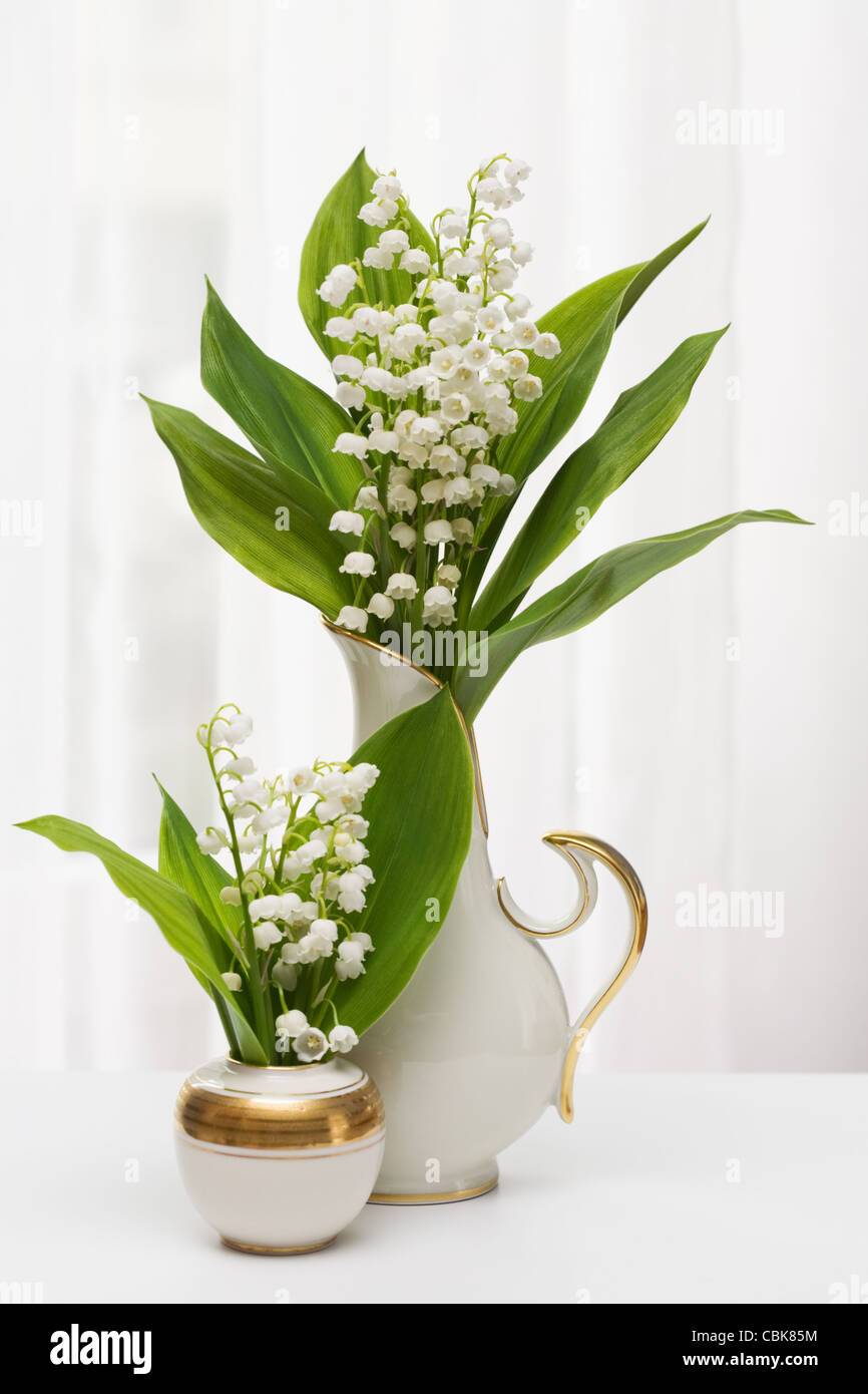 Lilly of the Valley in vase with window light Stock Photo - Alamy