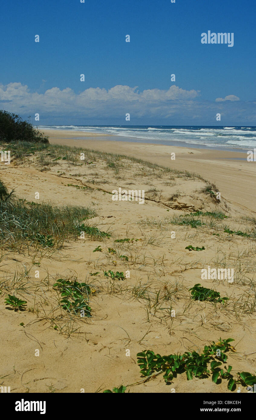 Eastern Beach of Fraser Island, a UNESCO world heritage site in Queensland, Australia Stock Photo