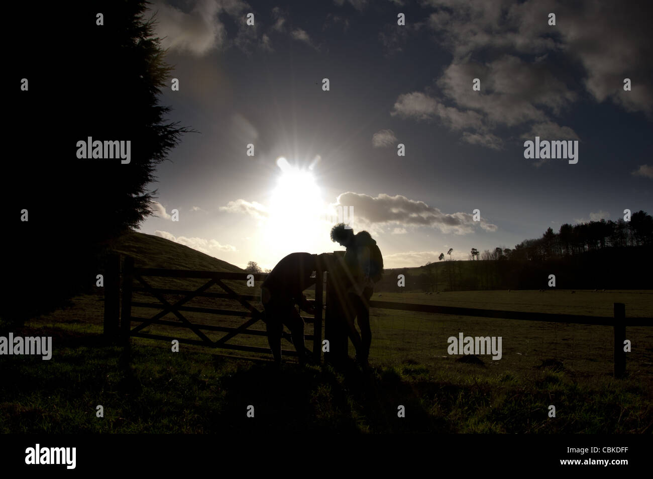 closing the gate on winter country walk Stock Photo Alamy