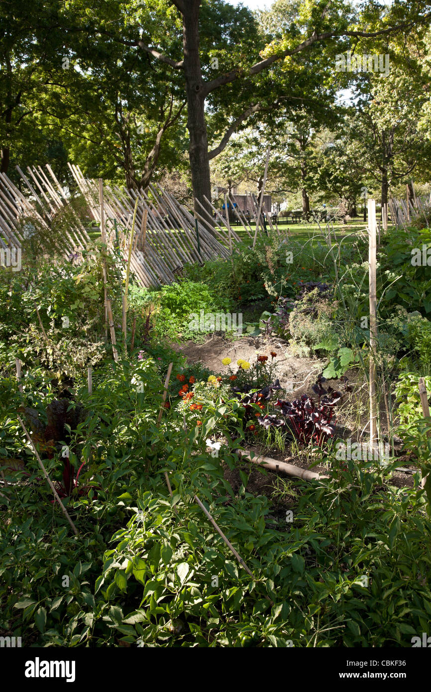 Urban Farm, Battery Park, NYC Stock Photo Alamy
