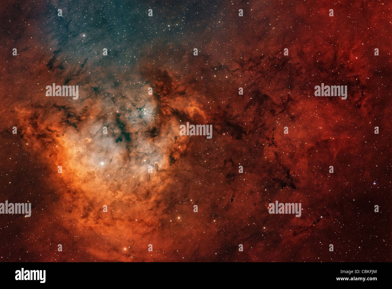 Widefield view of the young starforming complex NGC 7822 in the