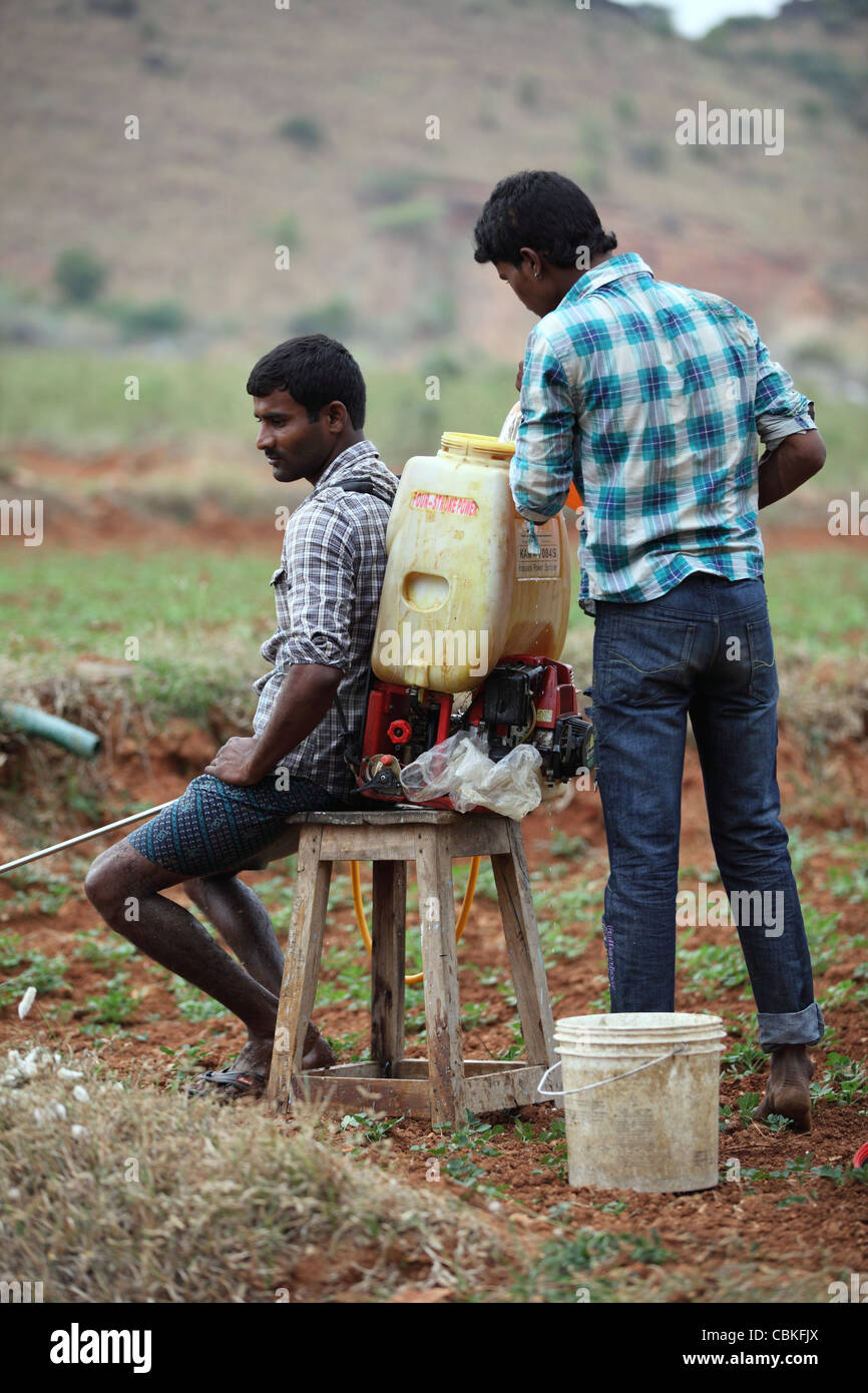 Indian men with pesticide unprotected Andhra Pradesh South India Stock ...