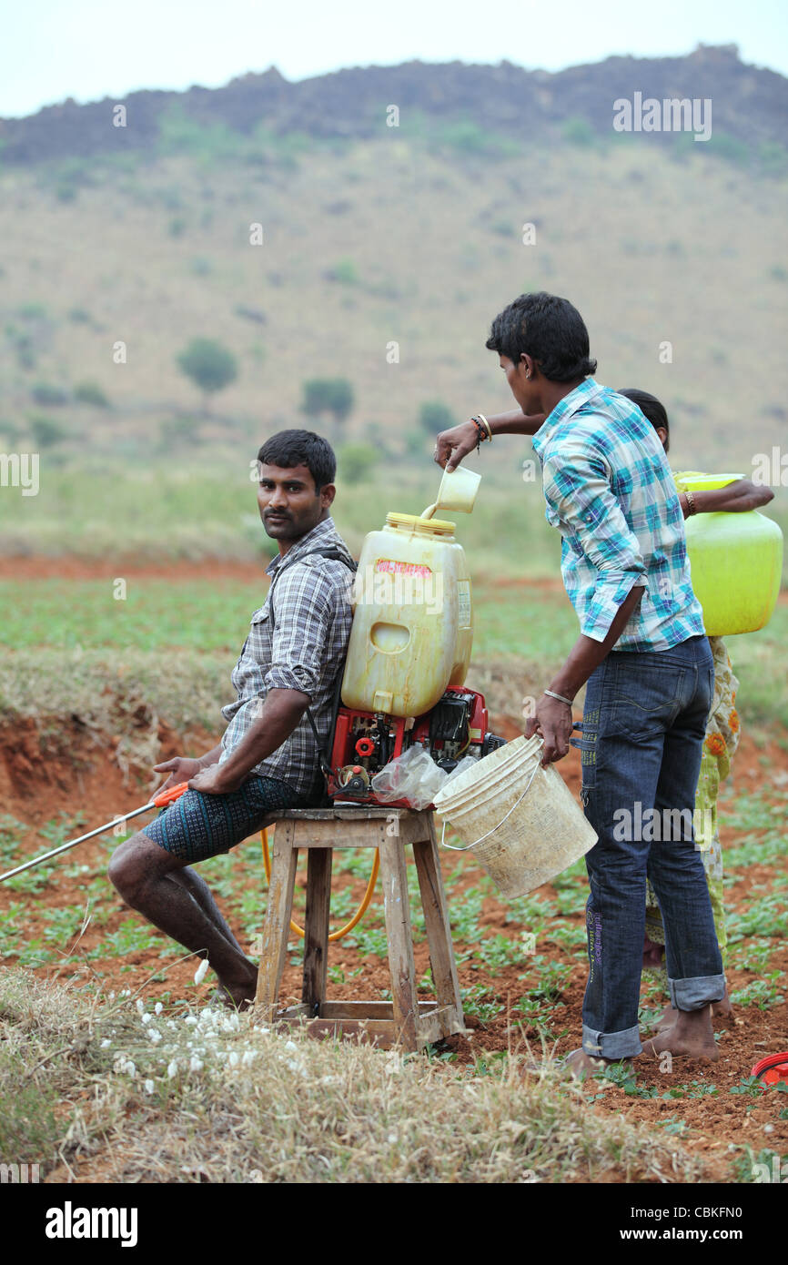 Indian men with pesticide unprotected Andhra Pradesh South India Stock ...