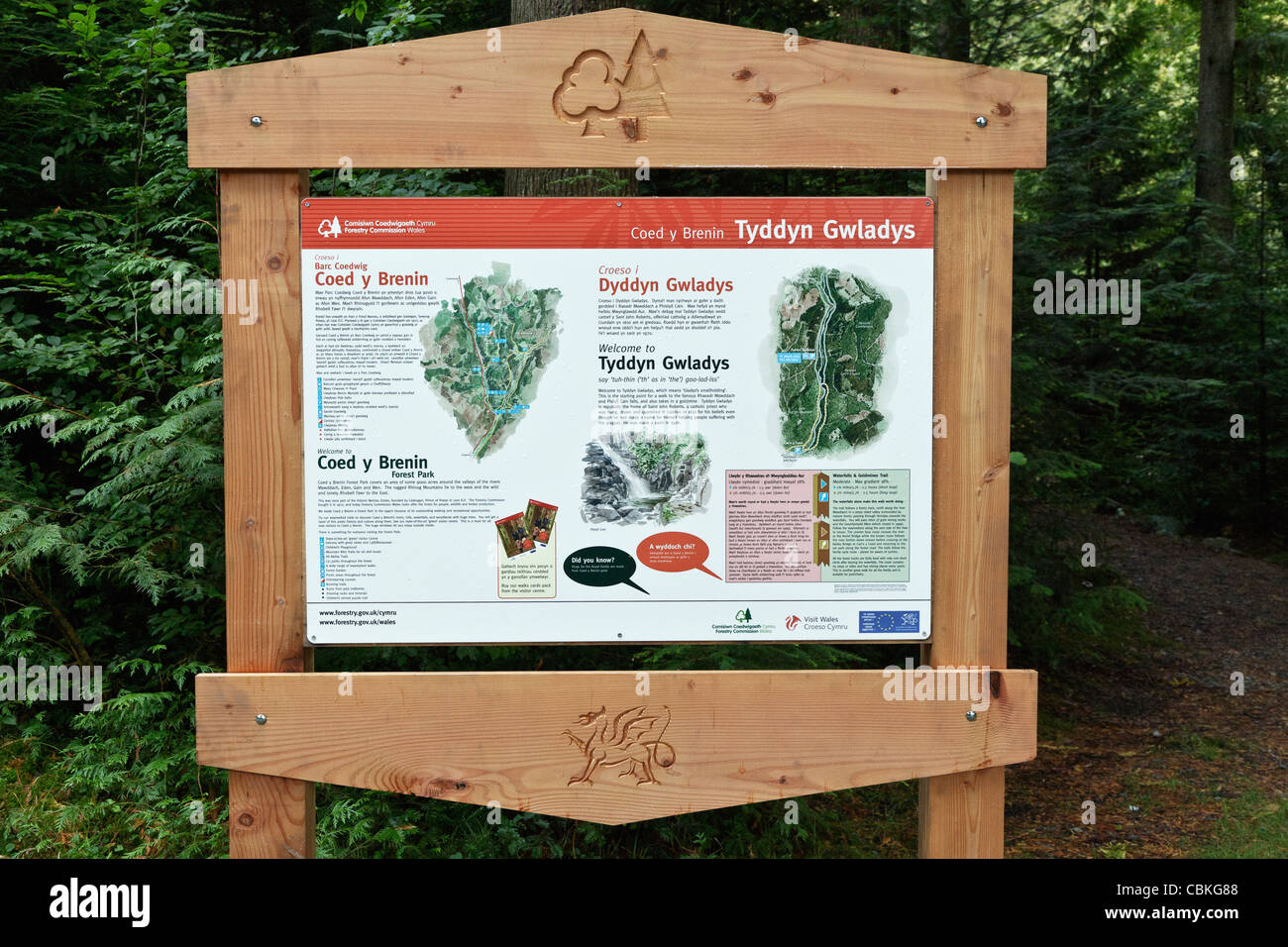 Tyddyn Gwladys - Forestry Commission Information Board in the Coed Y Brenin  forest park in Snowdonia Stock Photo - Alamy