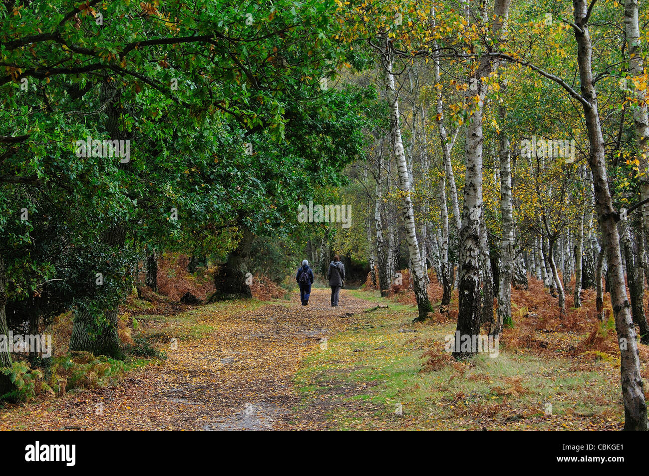Rspb arne walk hi-res stock photography and images - Alamy