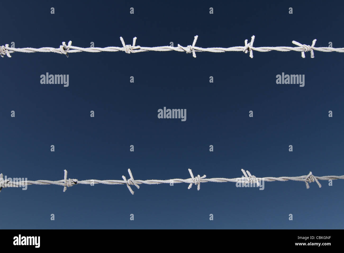 frosty barbed wire set against a clear blue sky Stock Photo