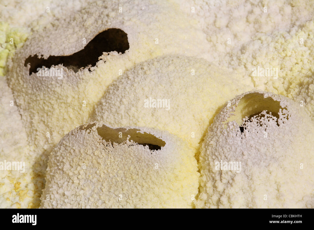 Dallol geothermal area, eggshaped fumarole deposits formed in salt deposits of brine hot