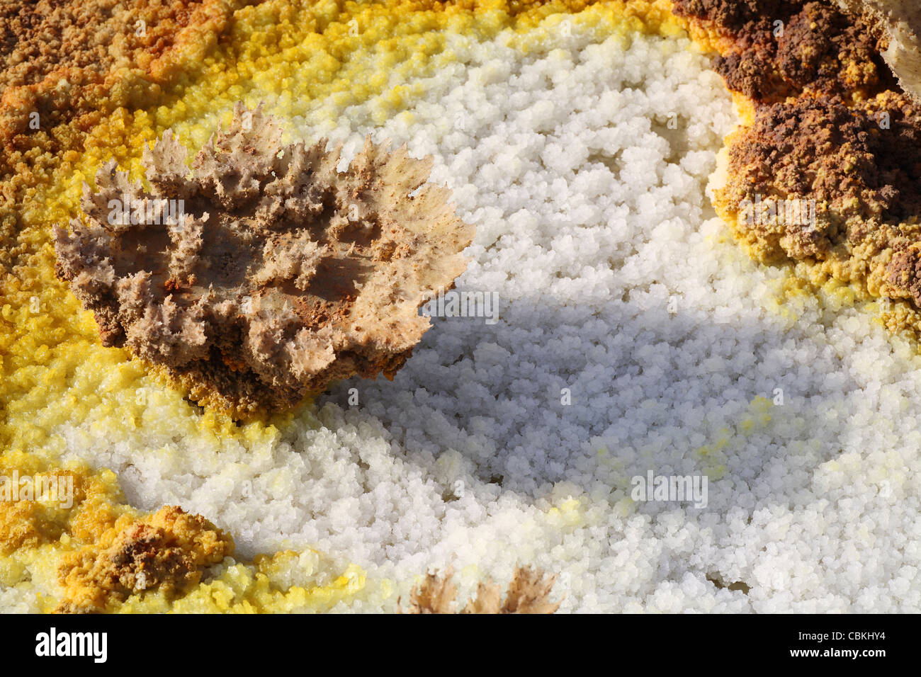 Dallol geothermal area, deposits of potassium salts formed by evaporation of water from brine hot springs, Ethiopia. Stock Photo